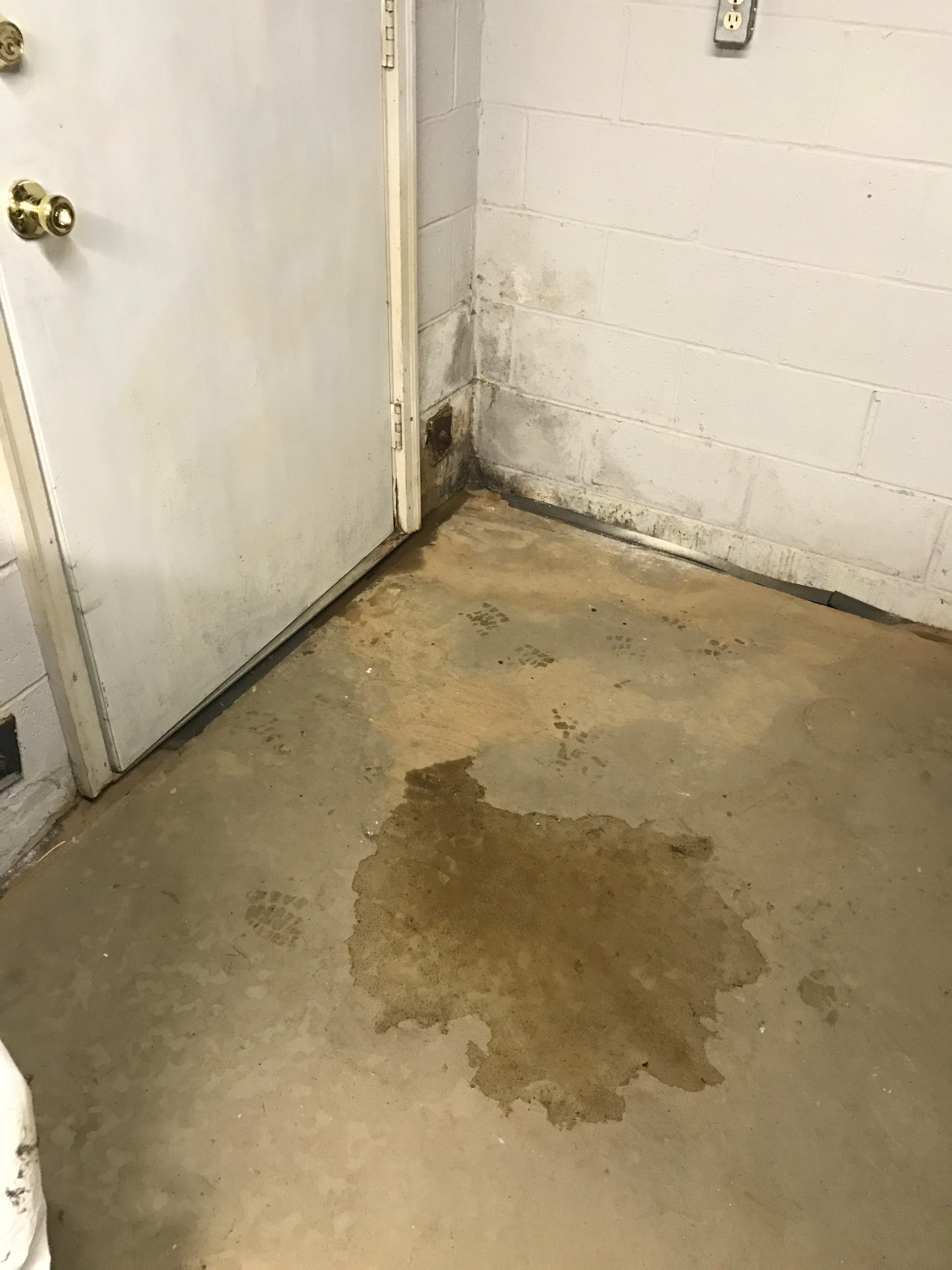 Leaky Basement entry way